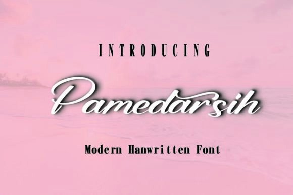 Pamedarsih Font for Small Business Branding