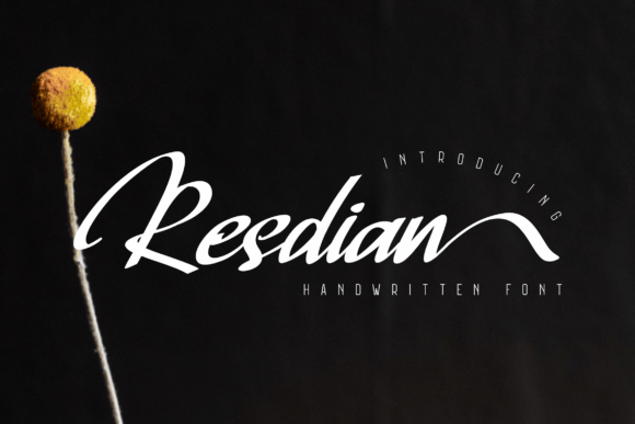 Resdian: A Dazzling Script Font for Makers