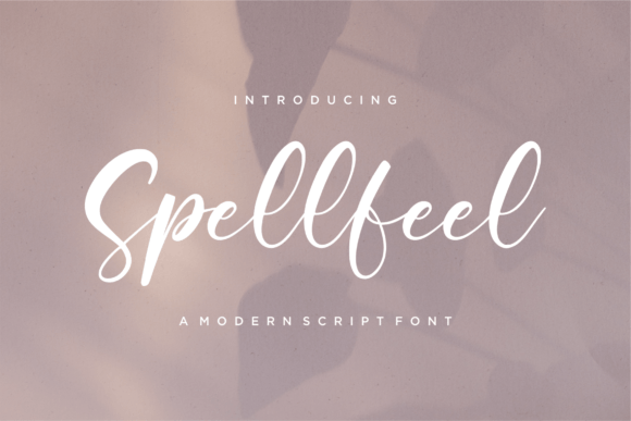 Spellfeel: A Modern Script Font for Digital Design