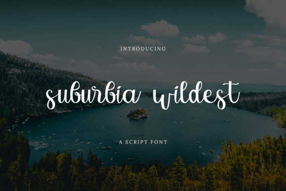 Suburbia Wildest Font for Modern Campaigns